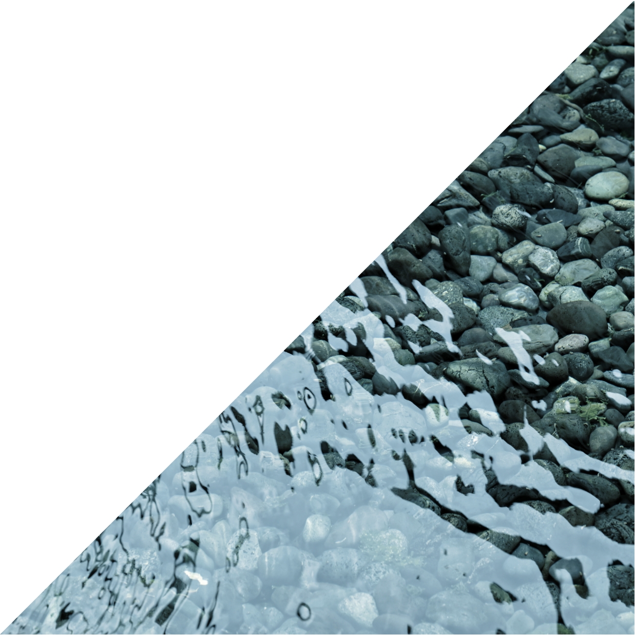 大野市イメージ